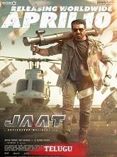 Jaat